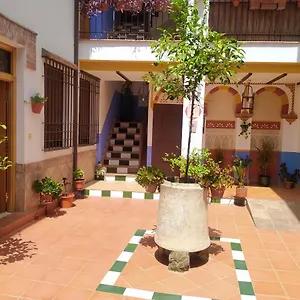 Appartement Patio De San Lorenzo Vft/co/00990